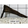 Dragonwood 107