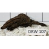 Dragonwood 107