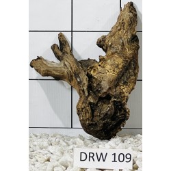 Dragonwood 109