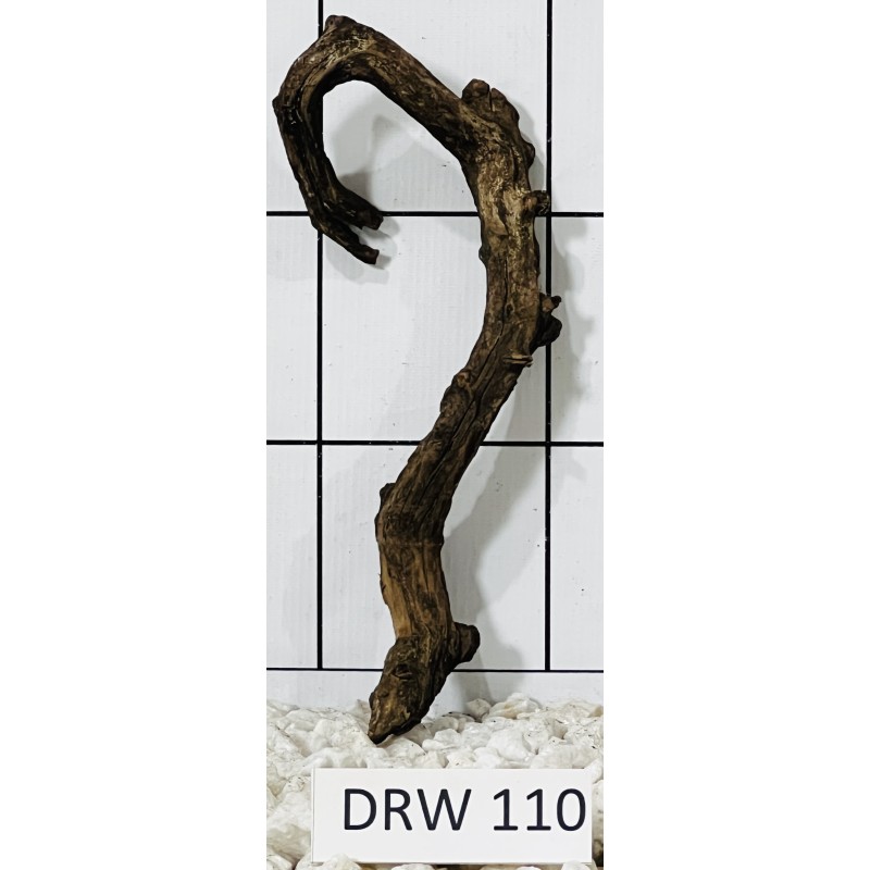 Dragonwood 110