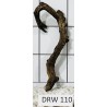 Dragonwood 110