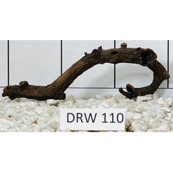 Dragonwood 110