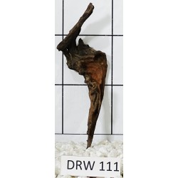Dragonwood 111