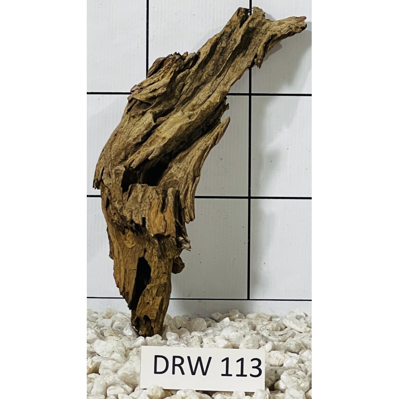 Dragonwood 113