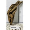 Dragonwood 113