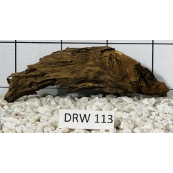 Dragonwood 113