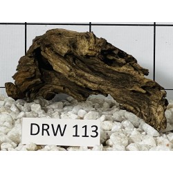 Dragonwood 113