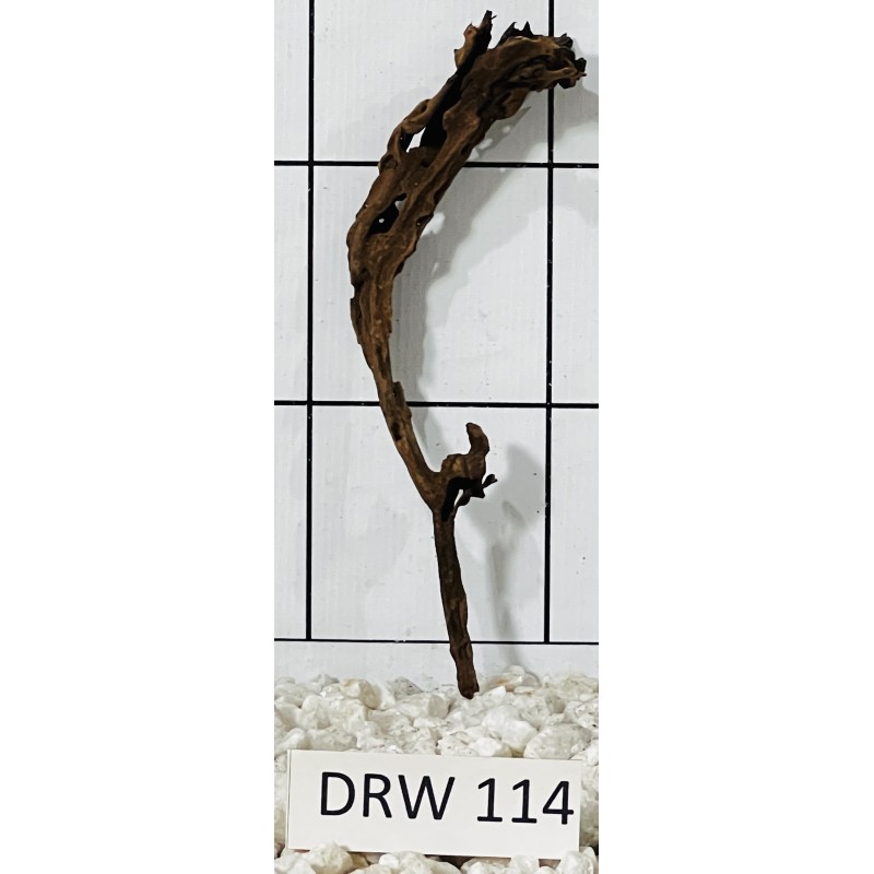 Dragonwood 114