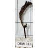 Dragonwood 114
