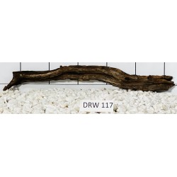 Dragonwood 117