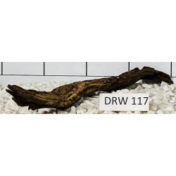 Dragonwood 117