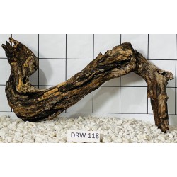 Dragonwood 118