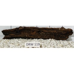 Dragonwood 119