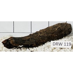 Dragonwood 119