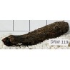 Dragonwood 119
