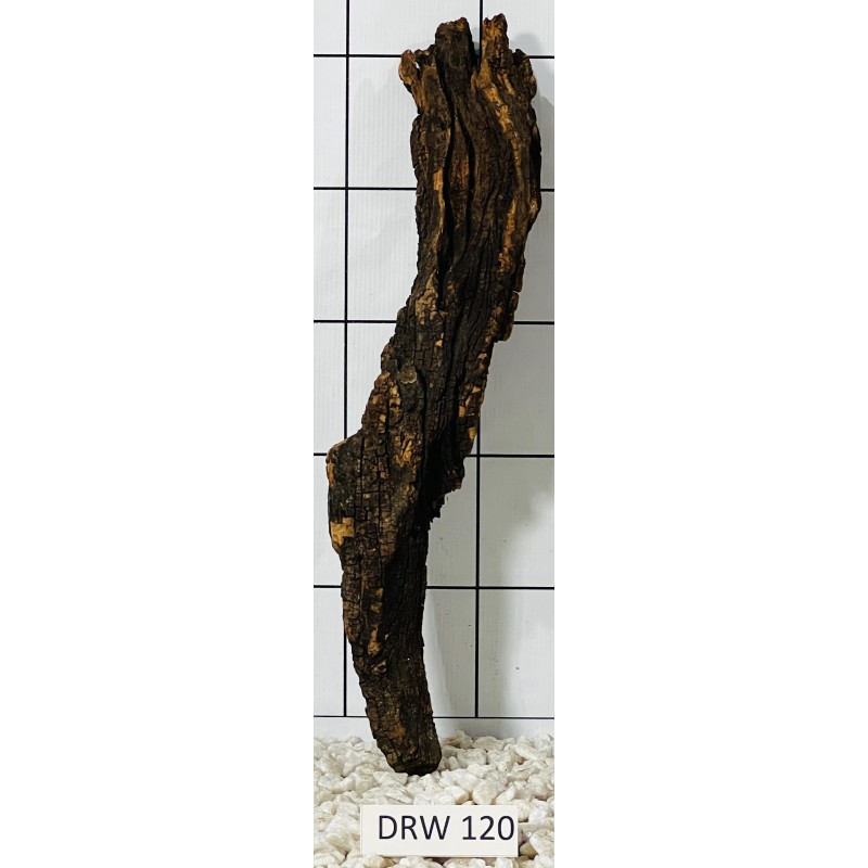 Dragonwood 120