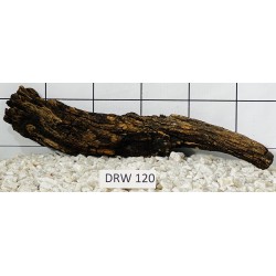 Dragonwood 120