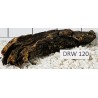 Dragonwood 120