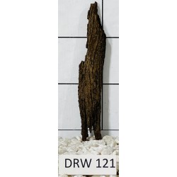 Dragonwood 121