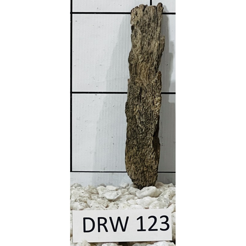 Dragonwood 123