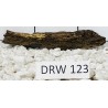 Dragonwood 123