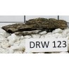 Dragonwood 123