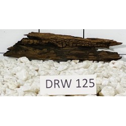 Dragonwood 125