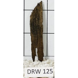 Dragonwood 125