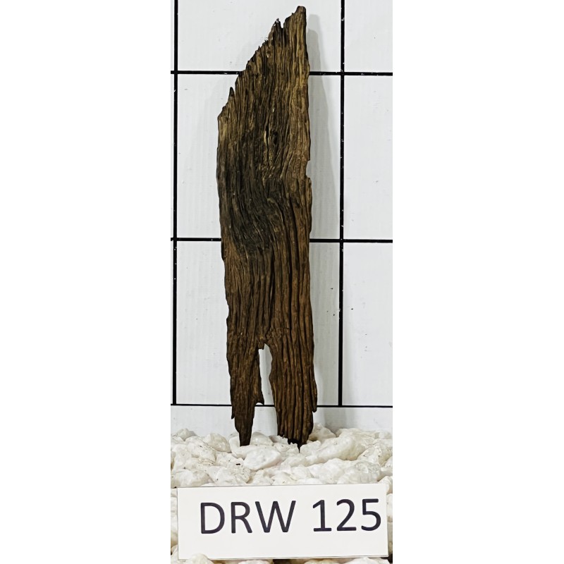 Dragonwood 125