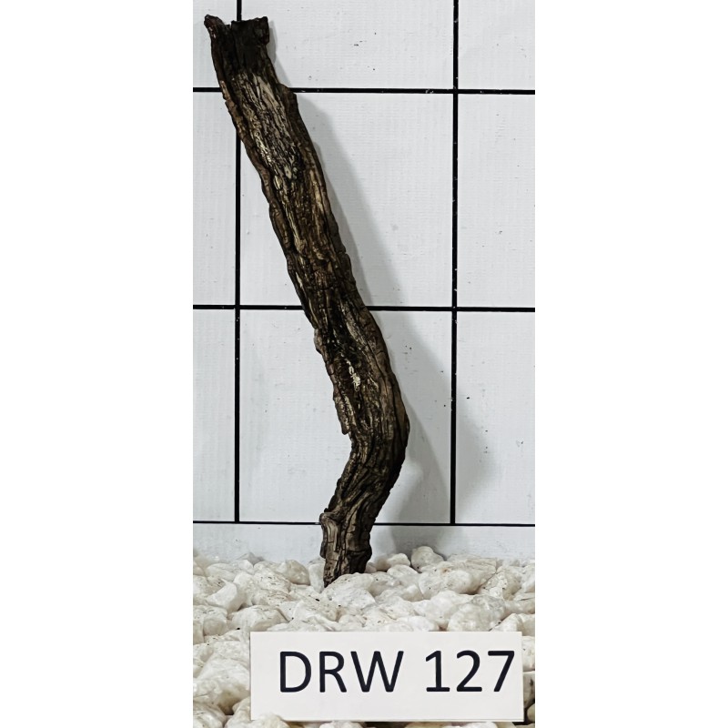 Dragonwood 127