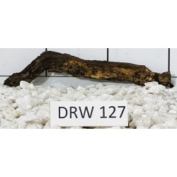 Dragonwood 127