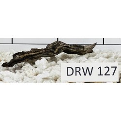 Dragonwood 127
