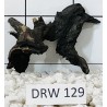 Dragonwood 129