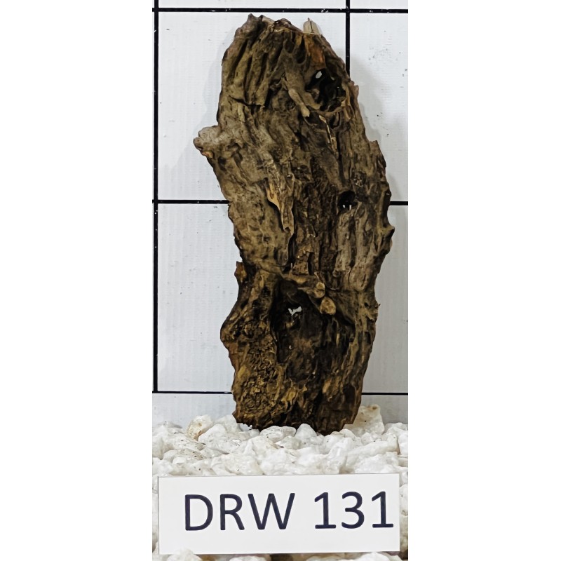 Dragonwood 131
