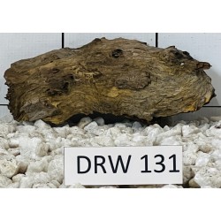 Dragonwood 131
