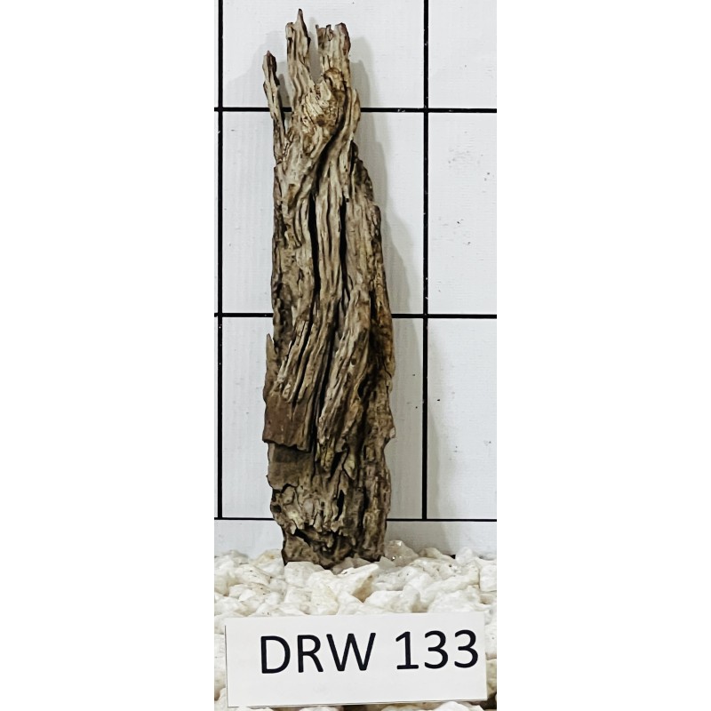 Dragonwood 133