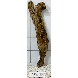 Dragonwood 137