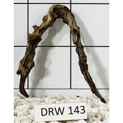 Dragonwood 143