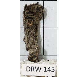 Dragonwood 145