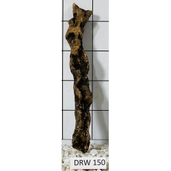 Dragonwood 150