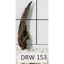 Dragonwood 153