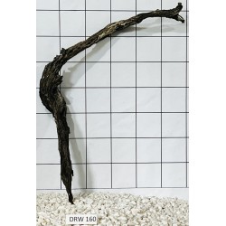 Dragonwood 160