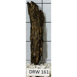 Dragonwood 161