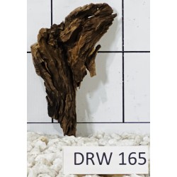 Dragonwood 165