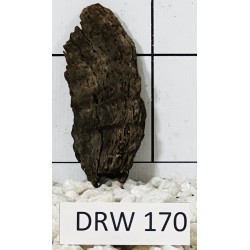 Dragonwood 170