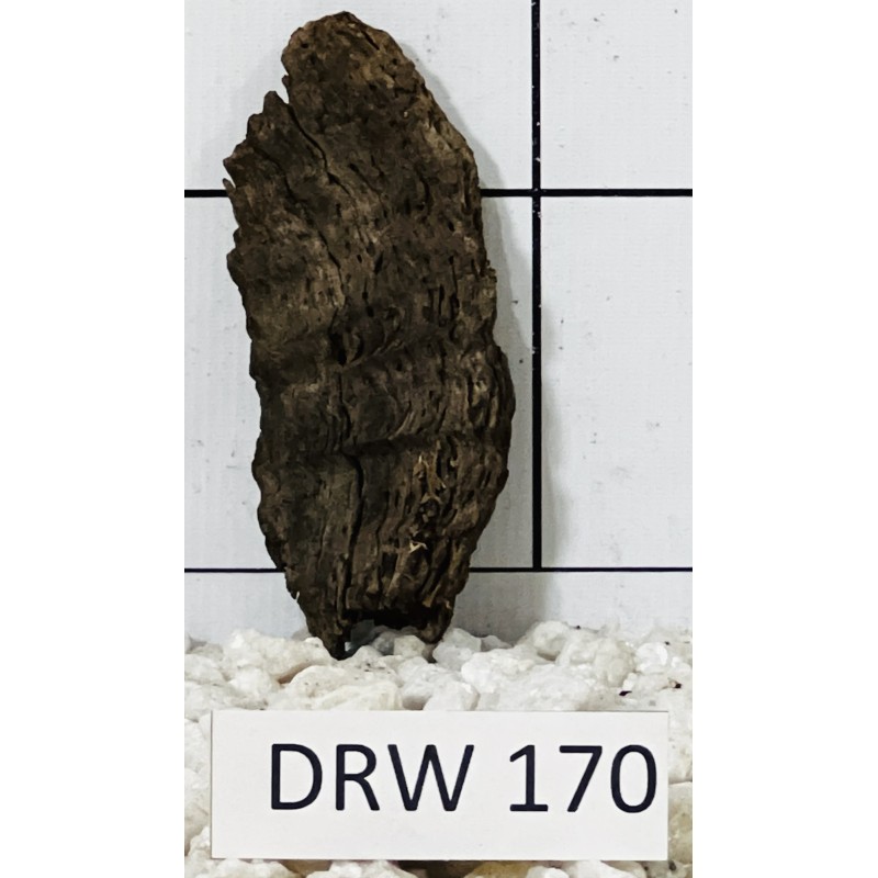 Dragonwood 170