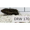 Dragonwood 170