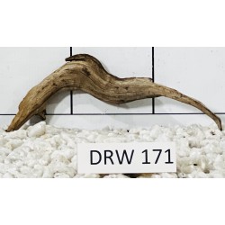 Dragonwood 171