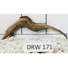 Dragonwood 171