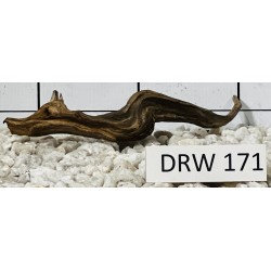 Dragonwood 171